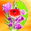 Create your Bouquet and Send Greeting Cards
