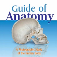 Anatomy Guide (Pocket Book) app not working? crashes or has problems?