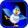 Birds Goal! Blitz Mania - Free Puzzles Games