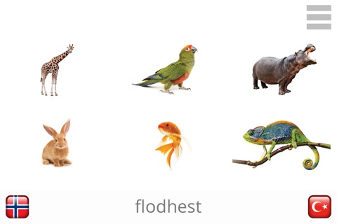 Baby Learn - NORWEGIAN screenshot 4