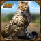 Young cheetah is alone in the jungle he needs to learn hunting as quick as possible for survival