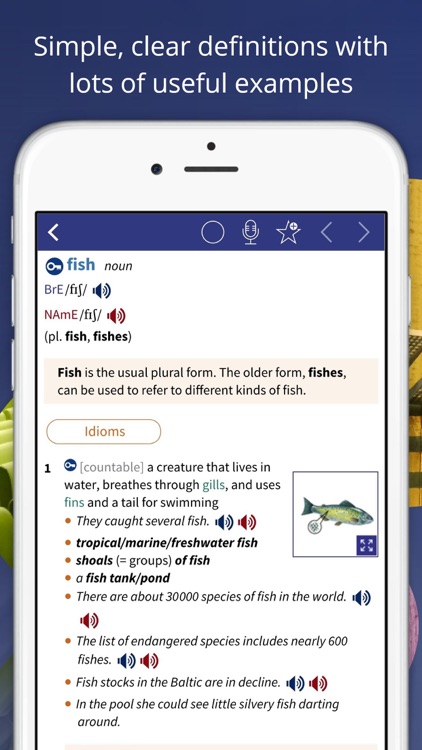 Oxford Advanced Learner’s Dictionary