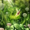 Fairyland Wallpapers HD- Quotes and Art Pictures