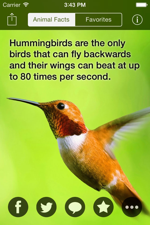 Animal Facts -  Cool Fun Fact for Kids Discovery screenshot 4