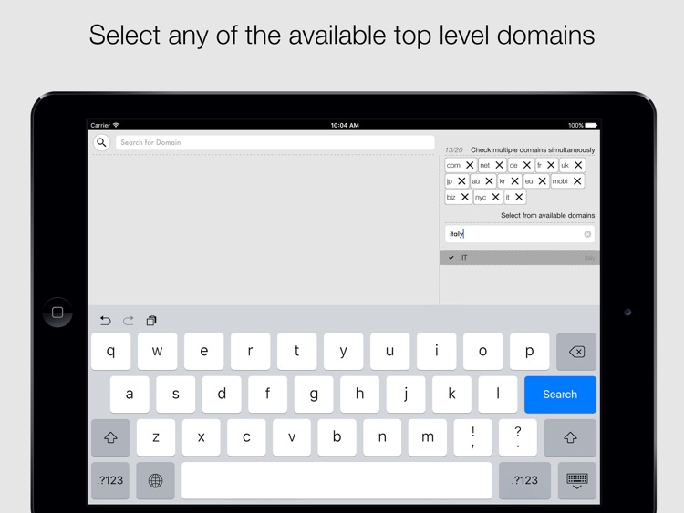 Quick Domain Check for iPad