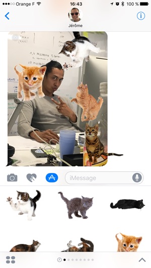 Cat Stickers(圖2)-速報App