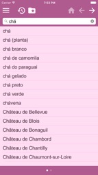 Portuguese English Dictionary Free Captura de tela 3