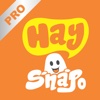 Haysnapo Pro