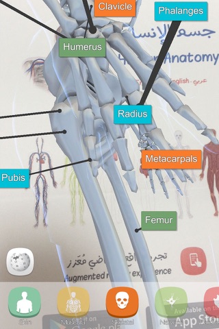 Anatomy AR screenshot 2