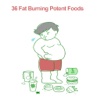 All about 36 Fat Burning Potent Foods