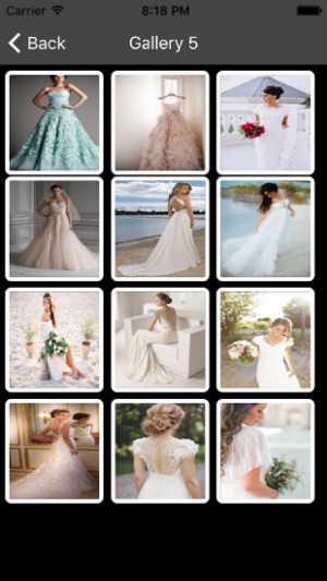 Best Wedding Gowns Ideas(圖1)-速報App