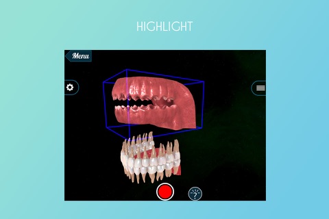 Virtual Reality(VR) Teeth Anatomy screenshot 3