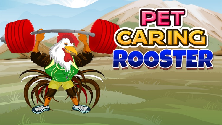 Pet Caring Rooster