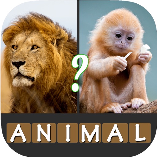 Animal Quiz - Guess Pictures of Famous Animals from Amazon Wild,African Safari,Savannah & Sea icon