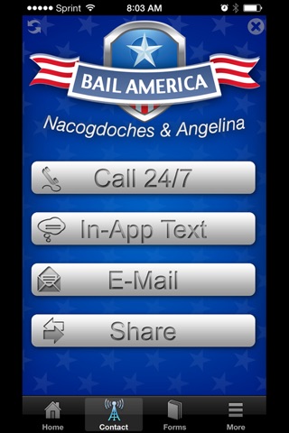 Bail America Angelina screenshot 2