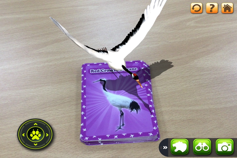 3D LEARNING CARD BIRDS screenshot 2