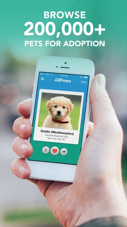AllPaws - Find a Dog, Cat or Pet to Adopt Near You