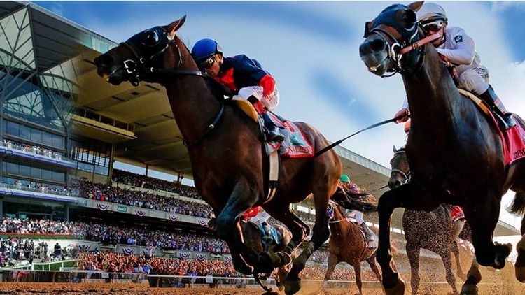 Horse Race Run & Jump - 3D Horse Jumping Stunts , Free HD Racing Game screenshot-3