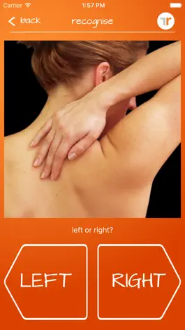 Game screenshot Recognise Neck apk