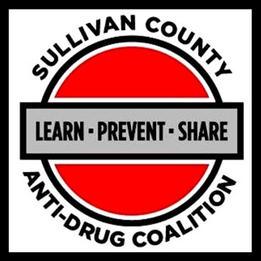 Sullivan County Anti-Drug Coalition Retail Environmental Scan