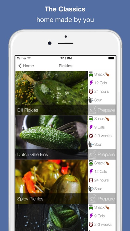 Food Fermentation & Pickling Recipes screenshot-1