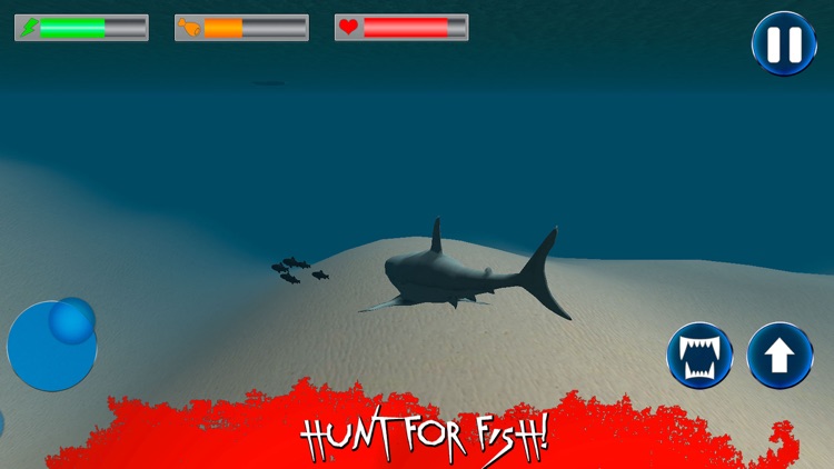 Wild Angry Shark Simulator 3D Full