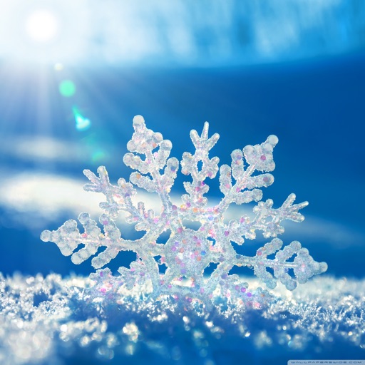 Snowflake Wallpapers HD: Quotes Backgrounds with Art Pictures icon