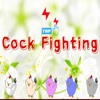 Cock Fighting