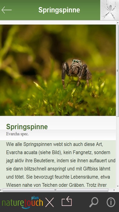 How to cancel & delete Spinnen und Spinnentiere bestimmen from iphone & ipad 4