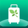 Mint T Bag (Travel packing list)