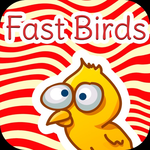 Fast Crash Birds