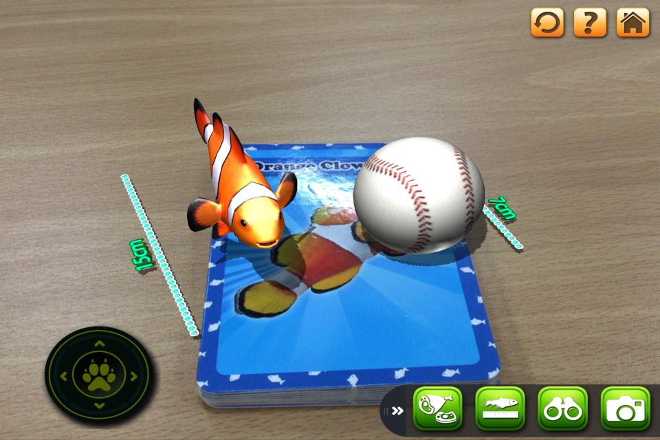 3D LEARNING CARD SEA ANIMALS screenshot 2