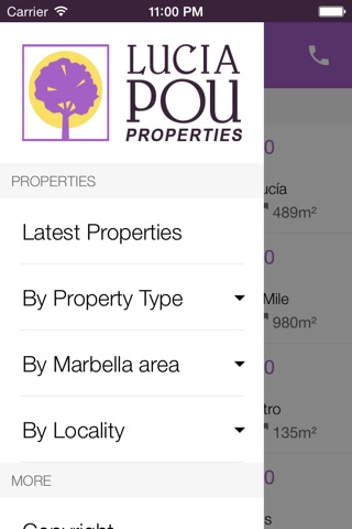 Marbella Properties screenshot 2