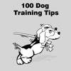 All 100 Dog Training Tips