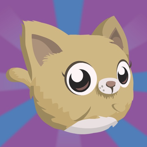 Kitty Meow Meow adorable - Cat Jump Night iOS App