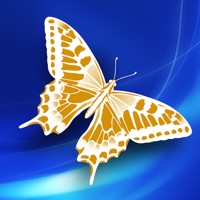 愛鳳蝶行動調查 pour PC