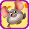 Hungry Mouse Maze - Swiping the blocks to Solve Tricky Puzzle