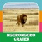 The Ngorongoro Crater is located on the border of the Serengeti National Park, only a few hours away from Arusha, a town located at the bottom of Mount Meru