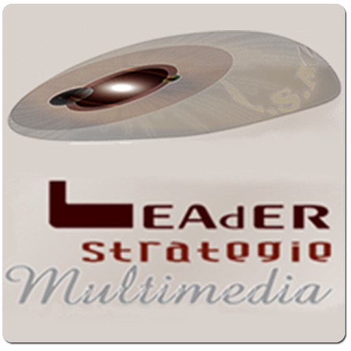 Leader Strategie Multimedia