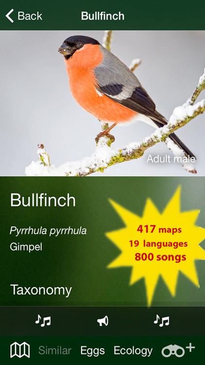 All birds Switzerland - a complete field guide to all the birds ever recorded in Switzerland