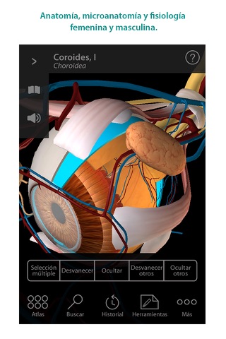 Human Anatomy Atlas – 3D Anatomical Model of the Human Body screenshot 4