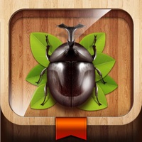 Meet the Insects: Forest Edition apk