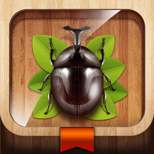 Meet the Insects: Forest Edition icon
