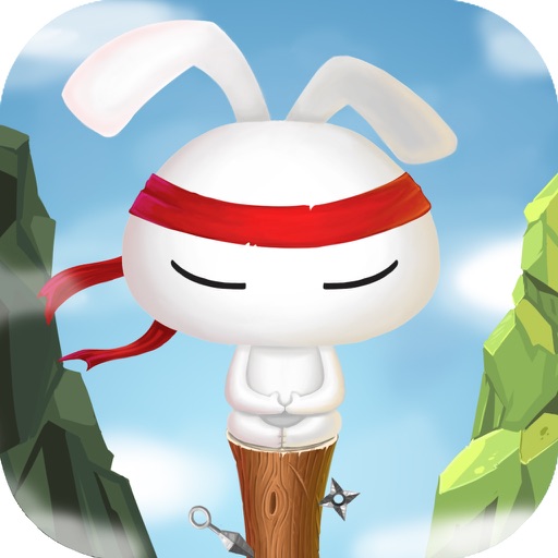 Kungfu Rabbit Dash iOS App