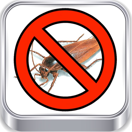 Bugs !!! iOS App