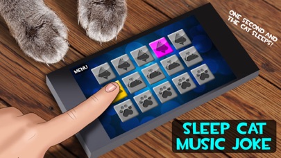 How to cancel & delete Sleep Cat Music Joke from iphone & ipad 3