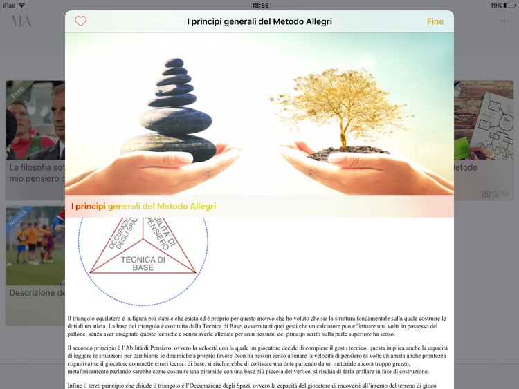Mr. Allegri Tactics screenshot-3