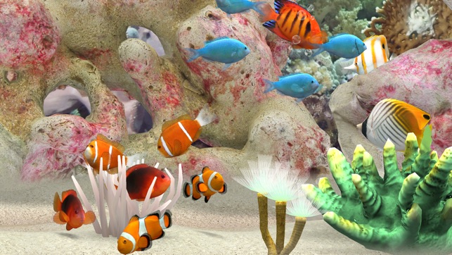 MyReef 3D Aquarium TV(圖5)-速報App