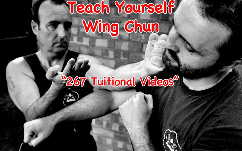 Teach Yourself Wing Chun thumbnail 1