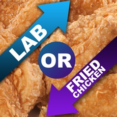 Activities of Lab Or Fried Chicken